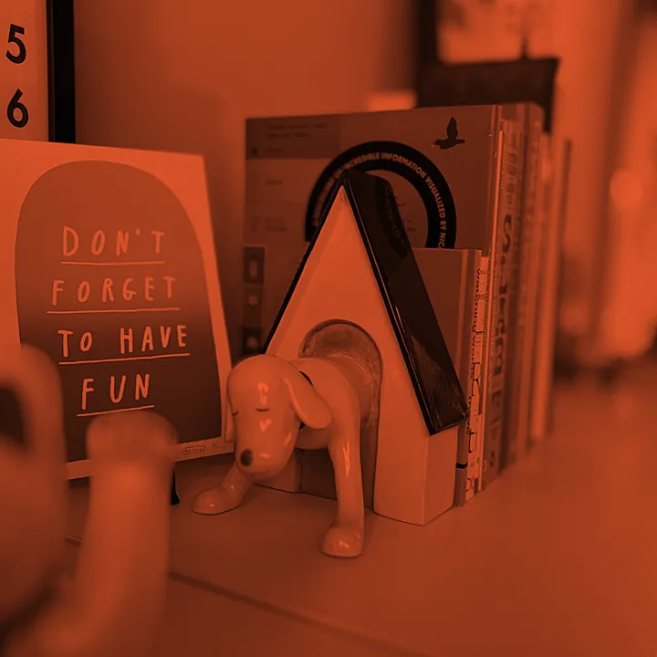 Don't forget to have fun print and Yoshitomo Nara dog book ends with books
